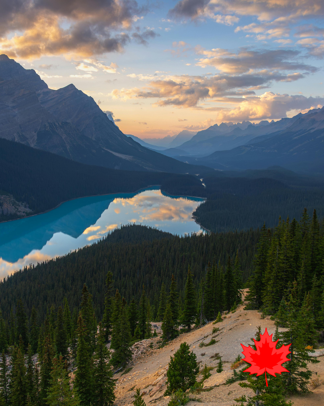 Canada Announces Express Entry 2026 Categories: Key Changes for Skilled Workers